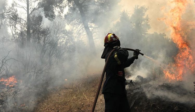 Πυρκαγιά στην Πόμπια: Οριοθετήθηκε η φωτιά - Στο σημείο παραμένουν οι αρχές