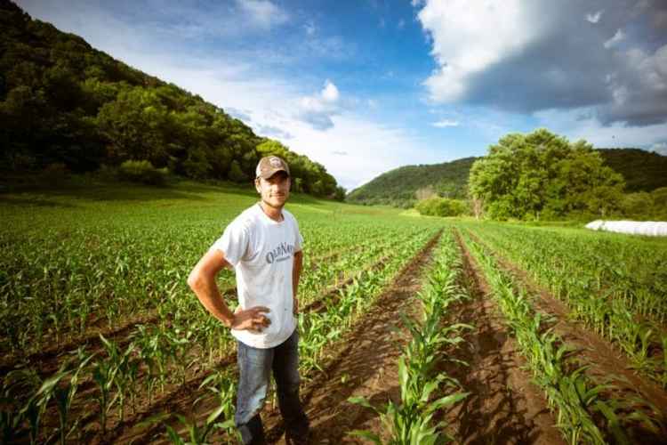 ΕΘΕΑΣ: Φορολογική ανακούφιση για τους συνεταιρισμένους αγρότες