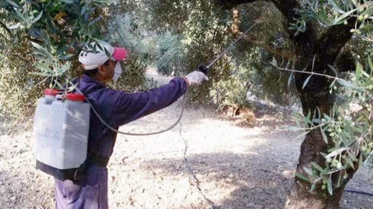 Δολωματικοί Ψεκασμοί: Σε ποιες περιοχές του Ηρακλείου συνεχίζονται