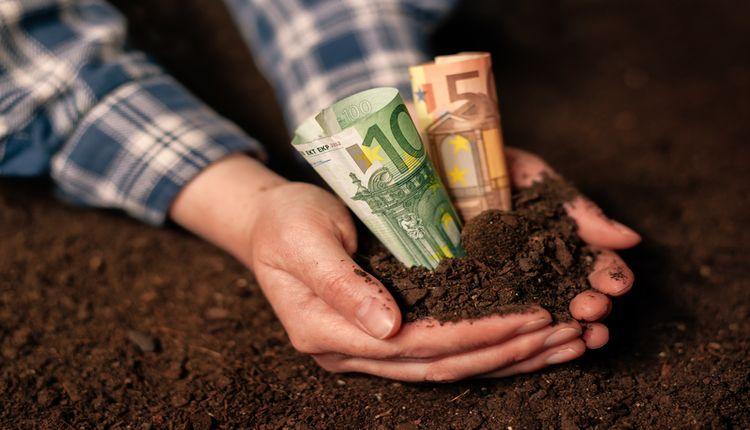"Νέοι Αγρότες": Άνοιξε η πλατφόρμα υποβολής αιτήσεων - Τα ποσά της Κρήτης