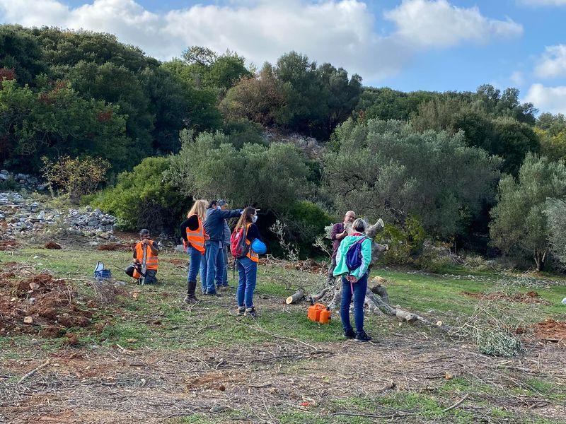 Διέσωσαν και μεταφύτευσαν ιστορικά ελαιόδεντρα από το νέο αεροδρόμιο στο Καστέλι (pics)