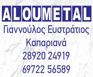 ALOUMETAL 300×250
