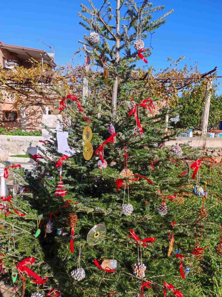 Ένα ξεχωριστό χριστουγεννιάτικο δέντρο στο Αρώνι Ακρωτηρίου