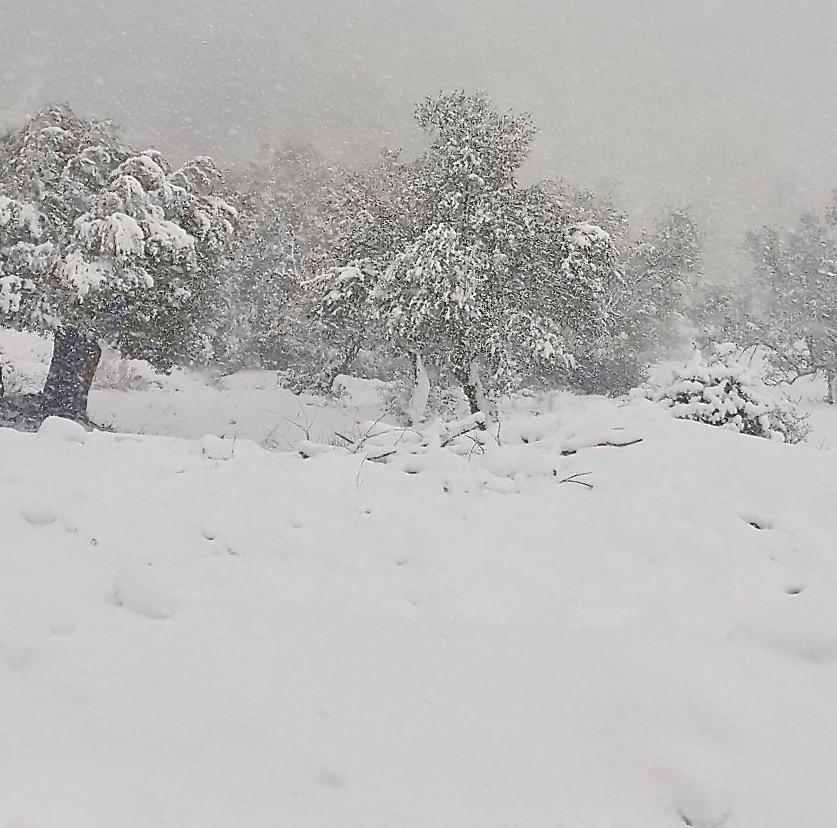 Άμεσες παρεμβάσεις του Δήμου Φαιστού για την κακοκαιρία (pics) 8 Άμεσες παρεμβάσεις του Δήμου Φαιστού για την κακοκαιρία (pics)