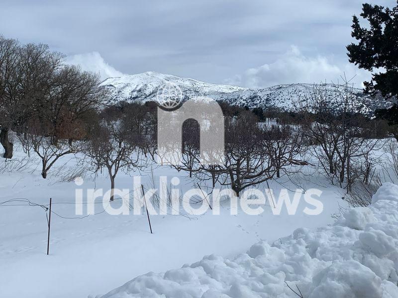 Πλημμύρισε Κρητικούς το Οροπέδιο - Φόρεσαν χιονοπέδιλα και απόλαυσαν το χιόνι (pics+vid)
