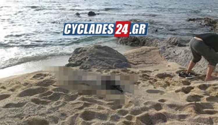 Πτώμα μικρού παιδιού "ξεβράστηκε" σε παραλία