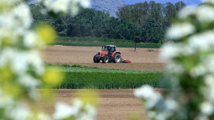 Ε.Ε.: "Πράσινο φως" σε ελληνικό πρόγραμμα 31,5 εκατ. ευρώ για αγροτικούς παραγωγούς