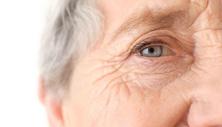 Ερευνητές του ΙΤΕ ρίχνουν φως στον μηχανισμό της ρύθμισης της γήρανσης