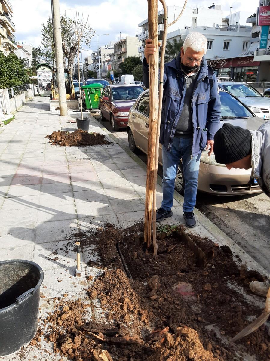 Δενδροφυτεύσεις σε κεντρικά σημεία της πόλης των Χανίων (pics)
