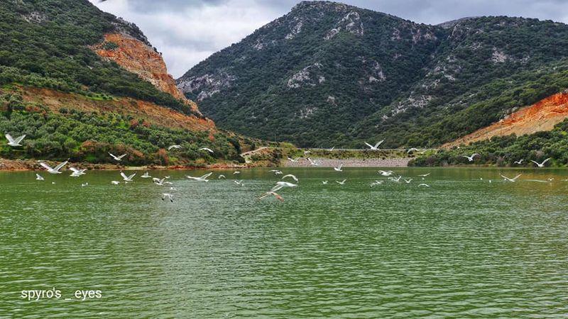 Γέμισε το Φράγμα Αποσελέμη (pics)