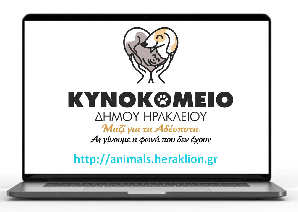 Νέα ιστοσελίδα και social media για την υιοθεσία αδεσπότων ζώων στον Δήμο Ηρακλείου