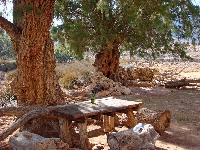 Το φαράγγι της... ρίγανης βρίσκεται στην Κρήτη