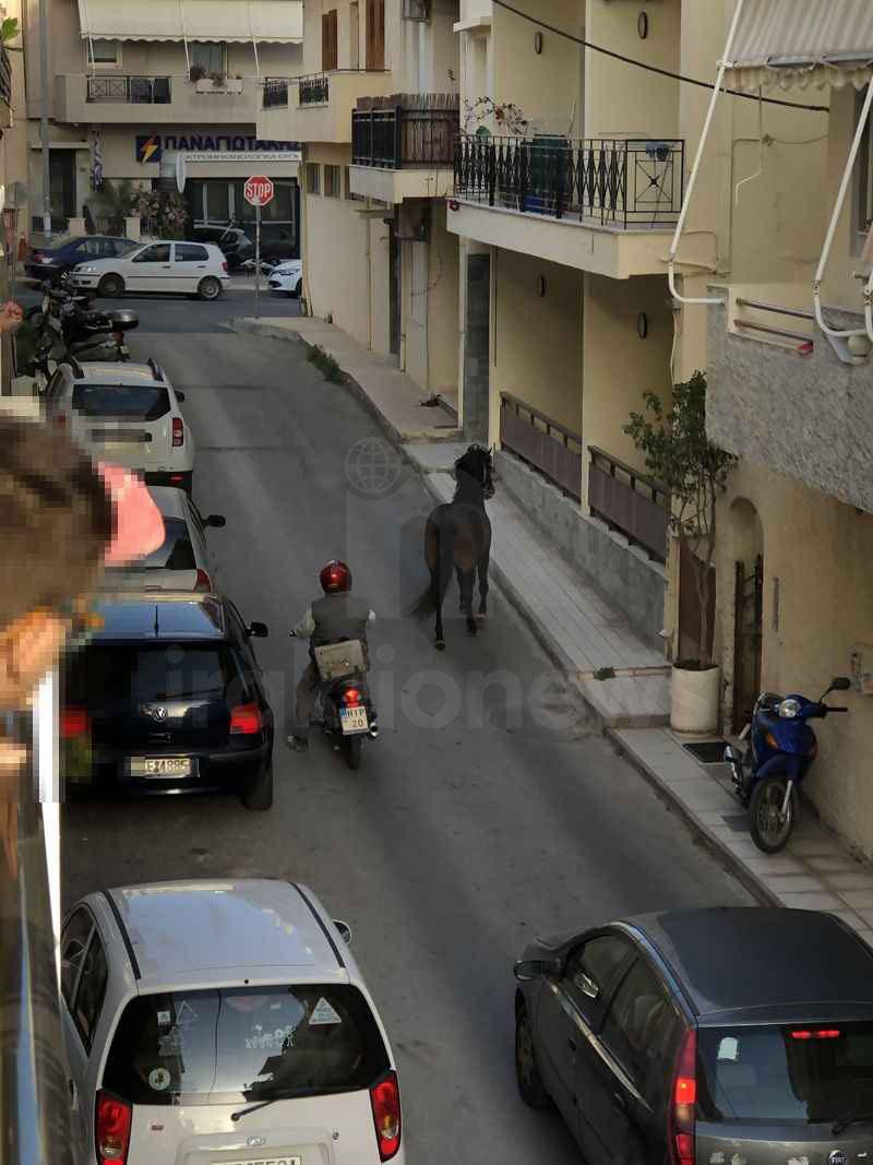 Ένα άλογο στους δρόμους του Ηρακλείου (pics)