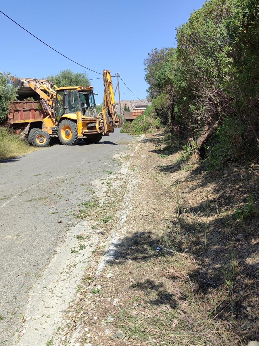 Εκτεταμένες αποψιλώσεις στην οδό Κωνσταντινουπόλεως (pics)