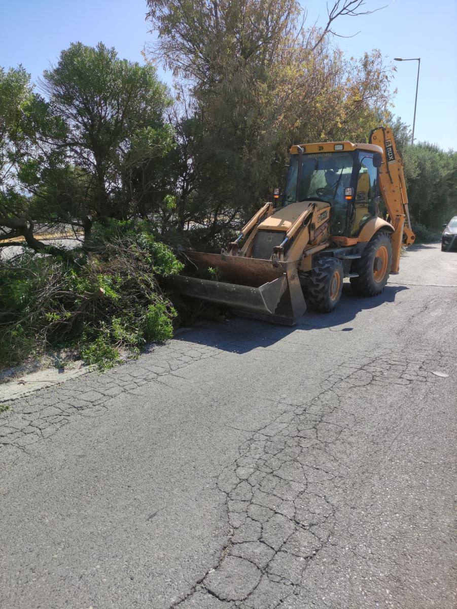Εκτεταμένες αποψιλώσεις στην οδό Κωνσταντινουπόλεως (pics)