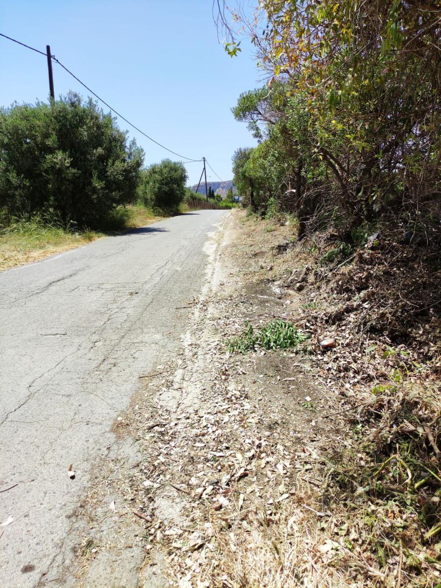 Εκτεταμένες αποψιλώσεις στην οδό Κωνσταντινουπόλεως (pics)