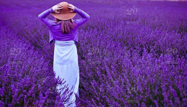 nature-people-colorful-summer-purple-meadow-happiness-freedom