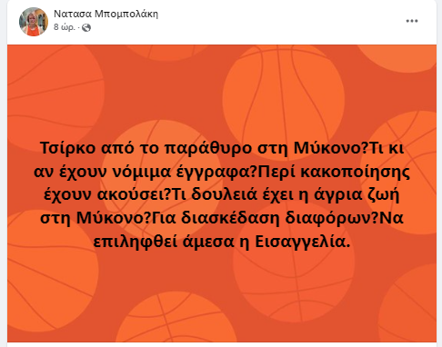 Σάλος από τα «πακεταρισμένα» λιοντάρια και τίγρη που ταξίδευαν στη Μύκονο - Παρέμβαση εισαγγελέα ζητούν φιλοζωικές