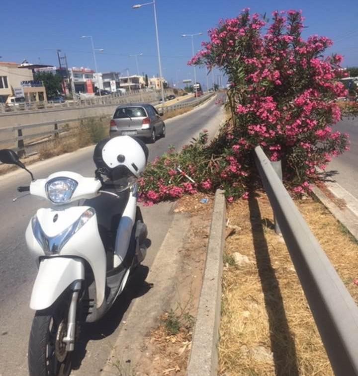 Τα κλαδιά στο κέντρο της πόλης σχολιάζονται με... μοναδικό καυστικό τρόπο! (pic)