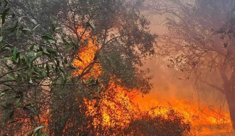 Καναδάς: Εκατομμύρια στρέμματα γης έγιναν στάχτη (vid)