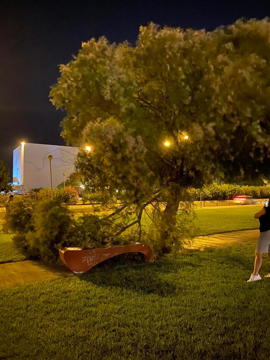 Έπεσε μεγάλο κομμάτι δέντρου σε κεντρικό πάρκο του Ηρακλείου! (pics) 3 Έπεσε μεγάλο κομμάτι δέντρου σε κεντρικό πάρκο του Ηρακλείου! (pics)