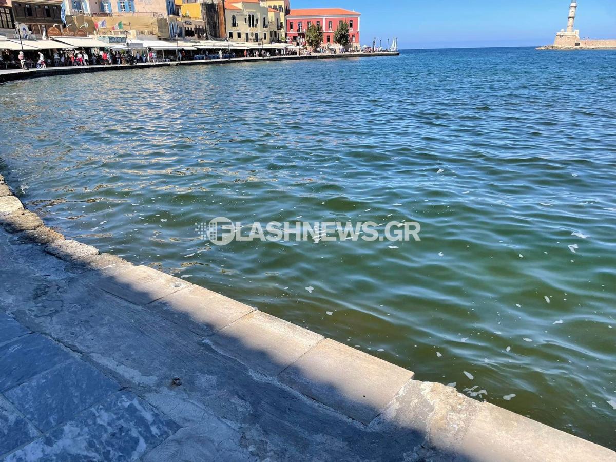 Εικόνες ντροπής – «Βούρκος» το Βενετσιάνικο Λιμάνι (pics) 8 Εικόνες ντροπής – «Βούρκος» το Βενετσιάνικο Λιμάνι (pics)