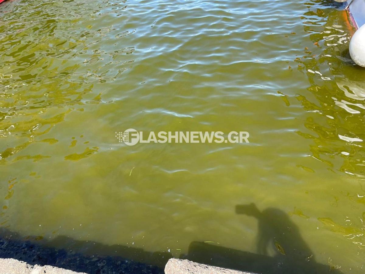 Εικόνες ντροπής – «Βούρκος» το Βενετσιάνικο Λιμάνι (pics) 6 Εικόνες ντροπής – «Βούρκος» το Βενετσιάνικο Λιμάνι (pics)