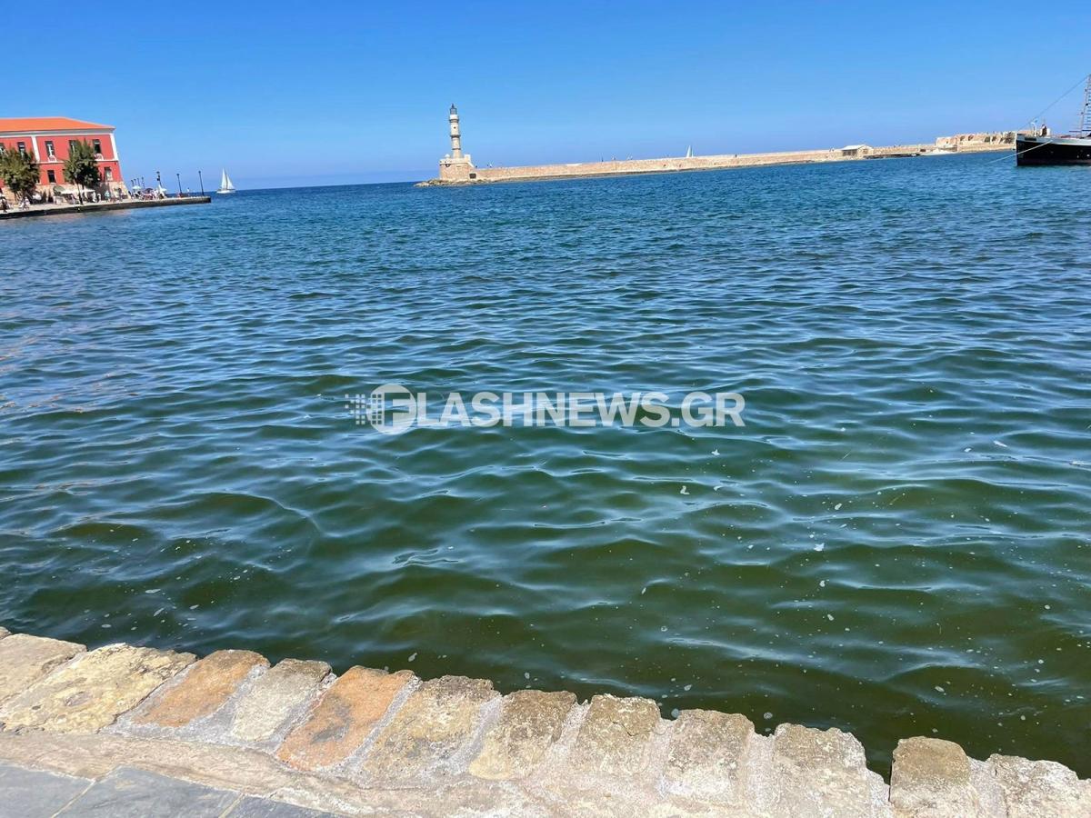 Εικόνες ντροπής – «Βούρκος» το Βενετσιάνικο Λιμάνι (pics) 5 Εικόνες ντροπής – «Βούρκος» το Βενετσιάνικο Λιμάνι (pics)