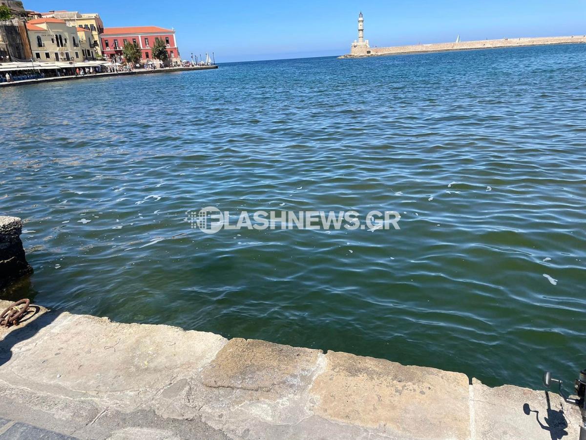 Εικόνες ντροπής – «Βούρκος» το Βενετσιάνικο Λιμάνι (pics) 4 Εικόνες ντροπής – «Βούρκος» το Βενετσιάνικο Λιμάνι (pics)