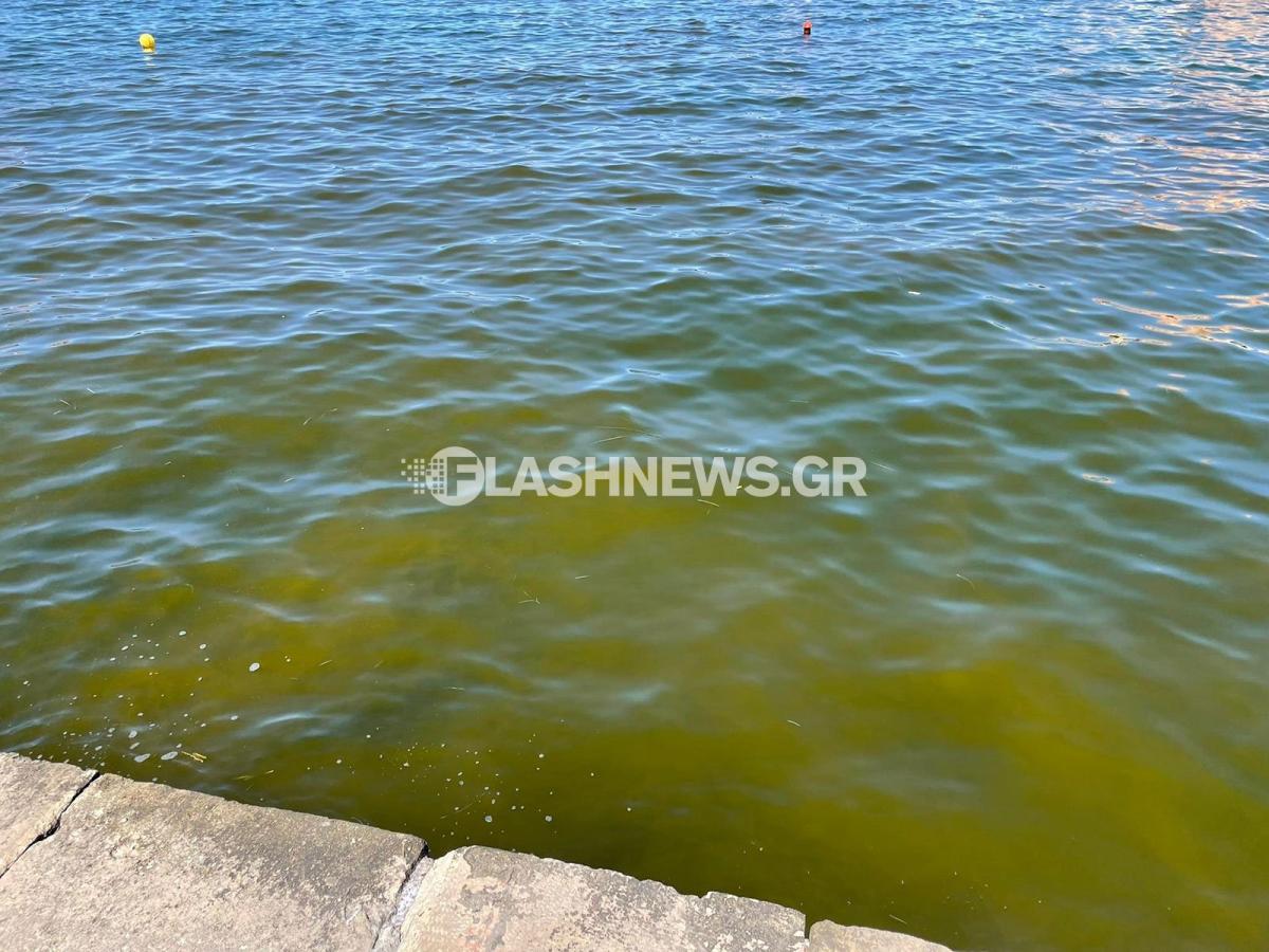 Εικόνες ντροπής – «Βούρκος» το Βενετσιάνικο Λιμάνι (pics) 3 Εικόνες ντροπής – «Βούρκος» το Βενετσιάνικο Λιμάνι (pics)