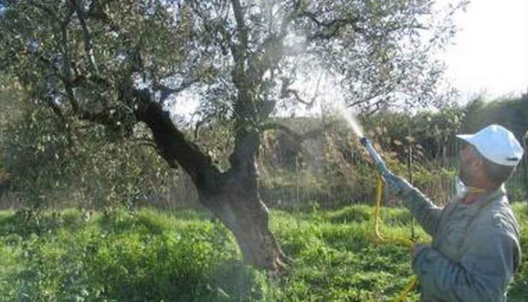 δακοκτονία