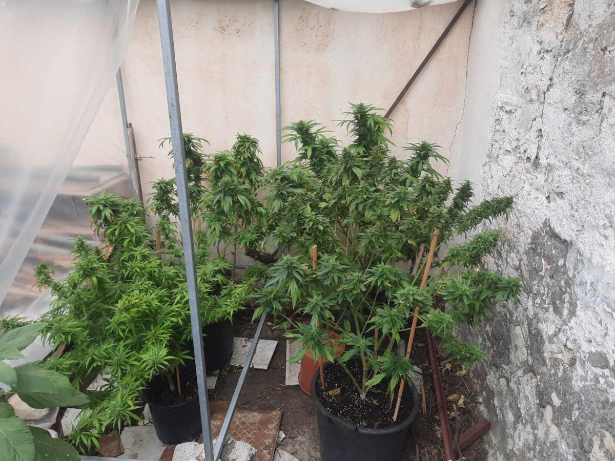 Όπλα και ναρκωτικά στην κατοχή Ηρακλειώτη