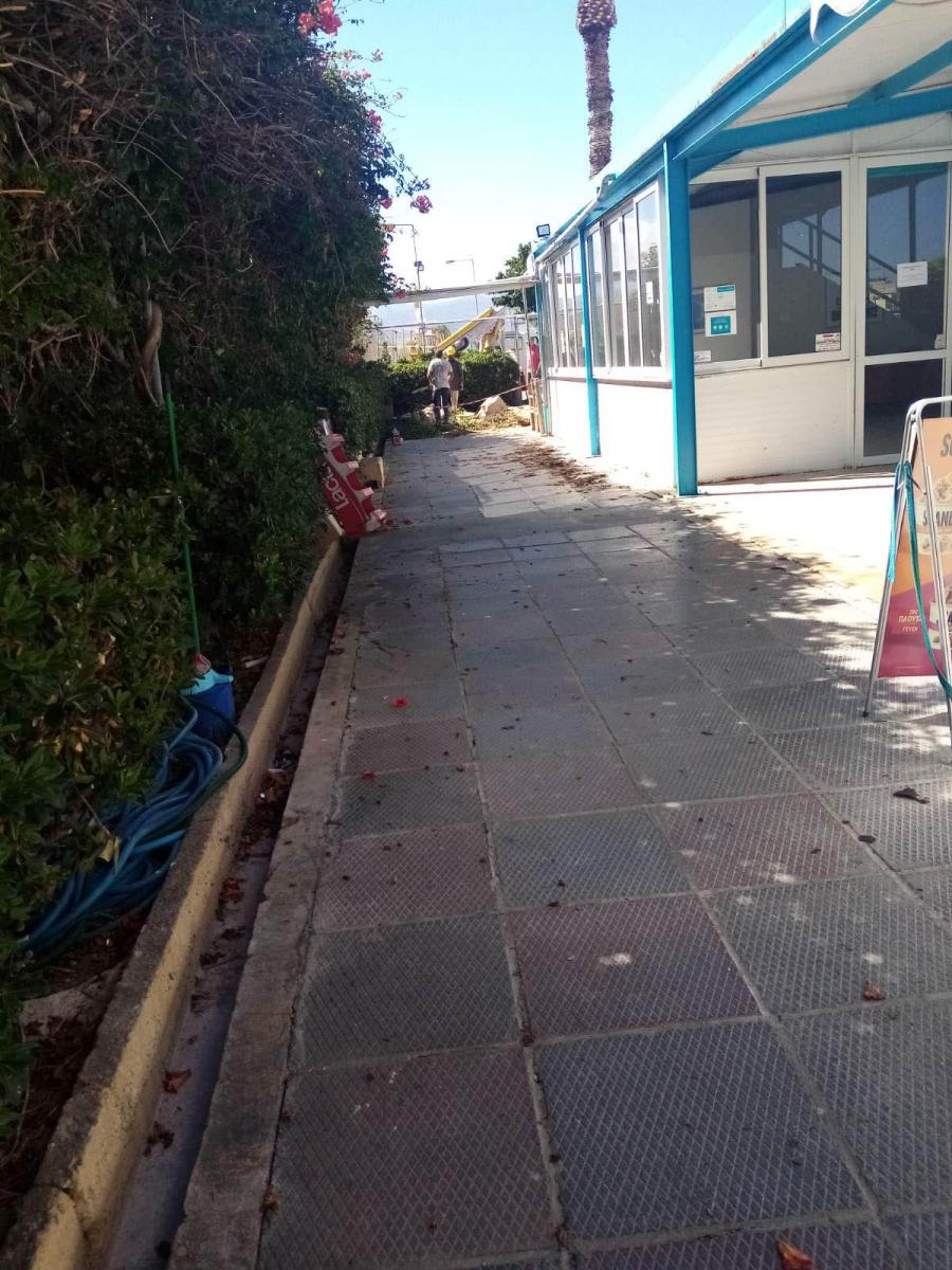 "Έφυγαν" τα επικινδυνά δέντρα από το Λίντο (pics) 3 "Έφυγαν" τα επικινδυνά δέντρα από το Λίντο (pics)