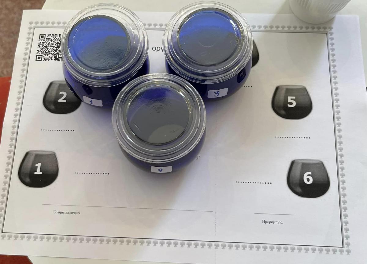 Γιώργος Γαβαλάς: «Ποιότητα δεν είναι μόνο η οξύτητα» (pics) 3 Γιώργος Γαβαλάς: «Ποιότητα δεν είναι μόνο η οξύτητα» (pics)