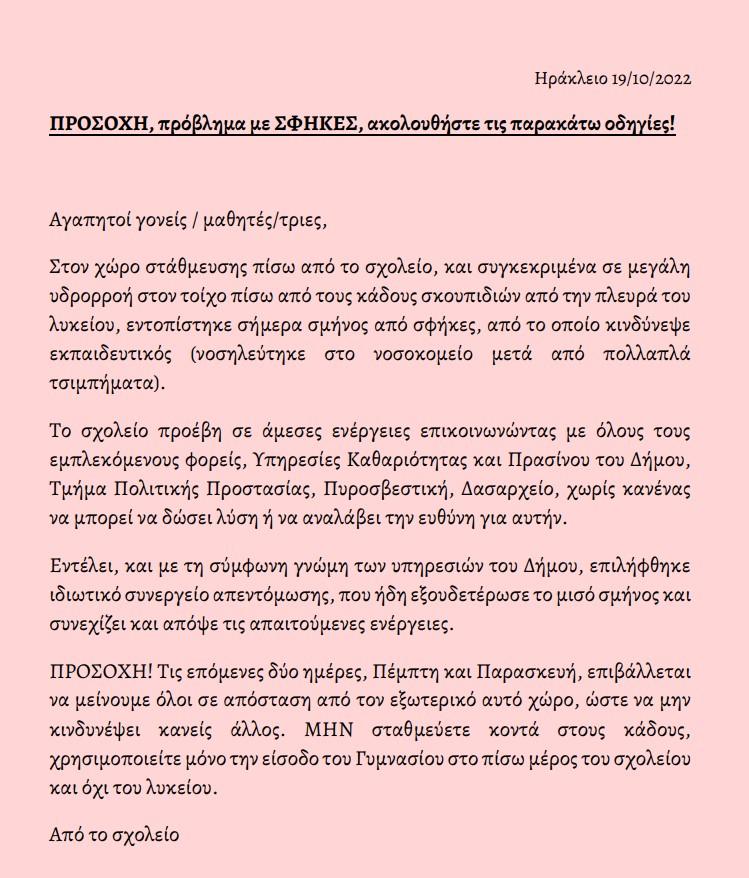 Στο νοσοκομείο καθηγητής από επίθεση σμήνους από σφήγκες