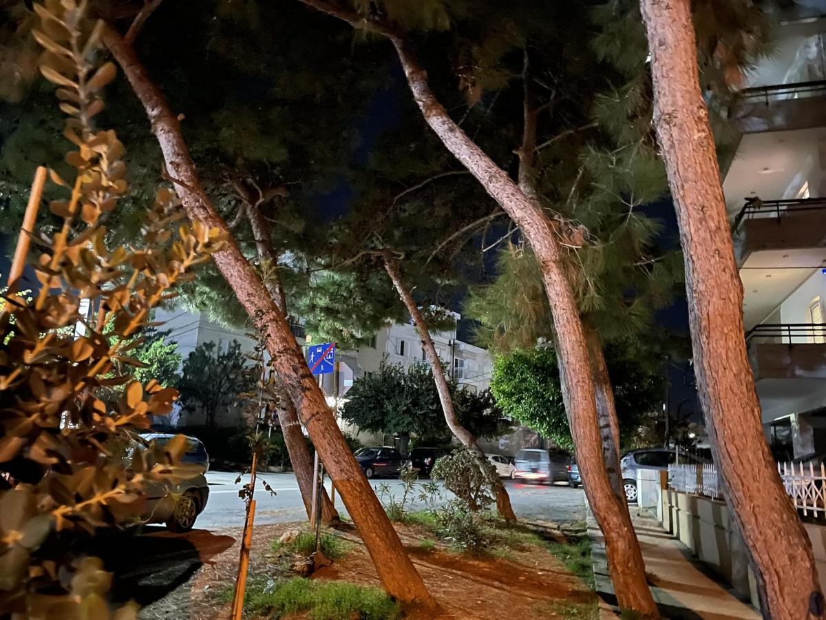 Δέντρα... ετοιμόρροπα απειλούν μαθητές έξω από σχολείο του Ηρακλείου! (pic)