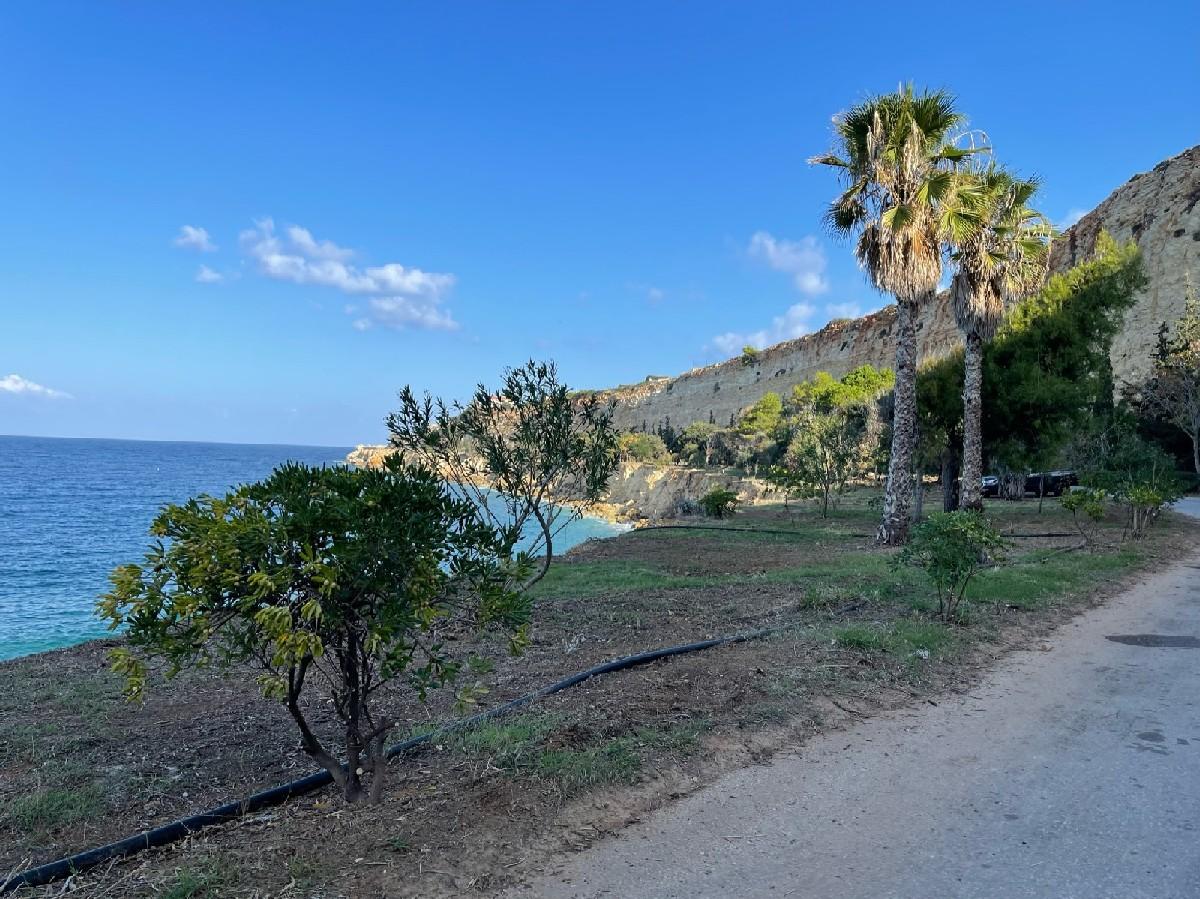 Ακόμα μια τιτάνια επιχείρηση καθαριότητας από τον Δήμο Χανίων: 92 τόνοι απορριμμάτων απομακρύνθηκαν από την περιοχή του Κουμπελή 6 Ακόμα μια τιτάνια επιχείρηση καθαριότητας από τον Δήμο Χανίων: 92 τόνοι απορριμμάτων απομακρύνθηκαν από την περιοχή του Κουμπελή