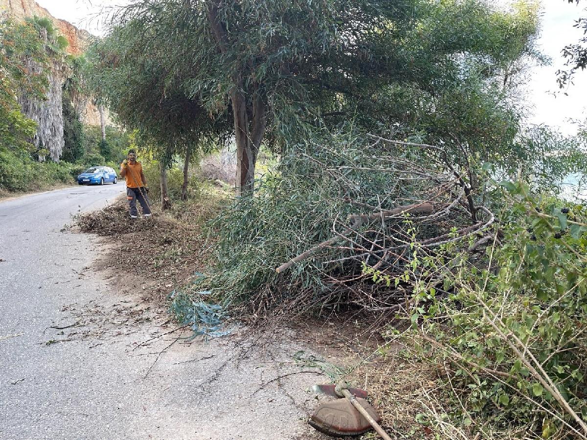 Ακόμα μια τιτάνια επιχείρηση καθαριότητας από τον Δήμο Χανίων: 92 τόνοι απορριμμάτων απομακρύνθηκαν από την περιοχή του Κουμπελή 10 Ακόμα μια τιτάνια επιχείρηση καθαριότητας από τον Δήμο Χανίων: 92 τόνοι απορριμμάτων απομακρύνθηκαν από την περιοχή του Κουμπελή