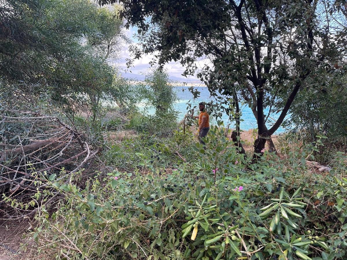 Ακόμα μια τιτάνια επιχείρηση καθαριότητας από τον Δήμο Χανίων: 92 τόνοι απορριμμάτων απομακρύνθηκαν από την περιοχή του Κουμπελή 9 Ακόμα μια τιτάνια επιχείρηση καθαριότητας από τον Δήμο Χανίων: 92 τόνοι απορριμμάτων απομακρύνθηκαν από την περιοχή του Κουμπελή