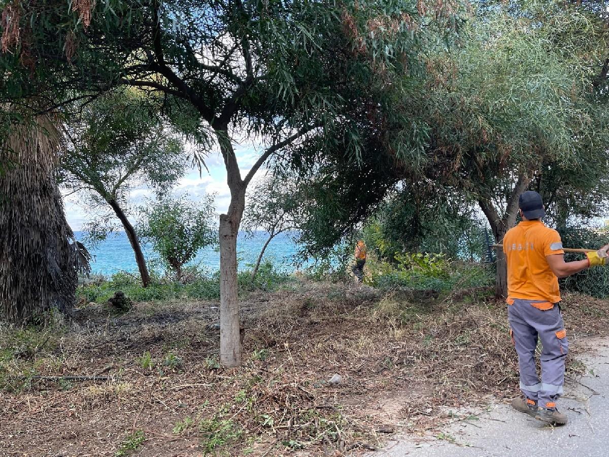 Ακόμα μια τιτάνια επιχείρηση καθαριότητας από τον Δήμο Χανίων: 92 τόνοι απορριμμάτων απομακρύνθηκαν από την περιοχή του Κουμπελή 8 Ακόμα μια τιτάνια επιχείρηση καθαριότητας από τον Δήμο Χανίων: 92 τόνοι απορριμμάτων απομακρύνθηκαν από την περιοχή του Κουμπελή