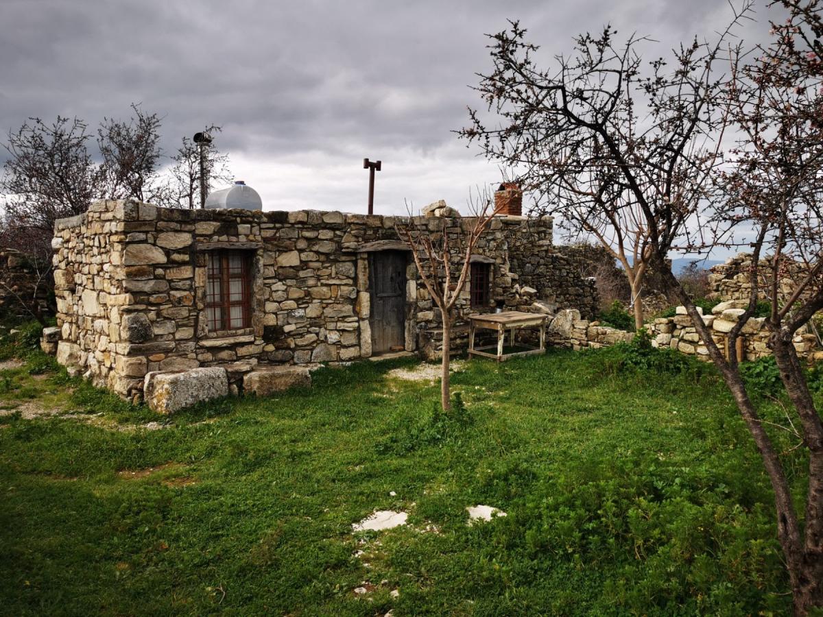 ΔΡΟΜΟΙ ΖΩΗΣ - Λαβύρινθος - Δρόσοι. Κυριακή 20/11/2022 3 ΔΡΟΜΟΙ ΖΩΗΣ - Λαβύρινθος - Δρόσοι. Κυριακή 20/11/2022