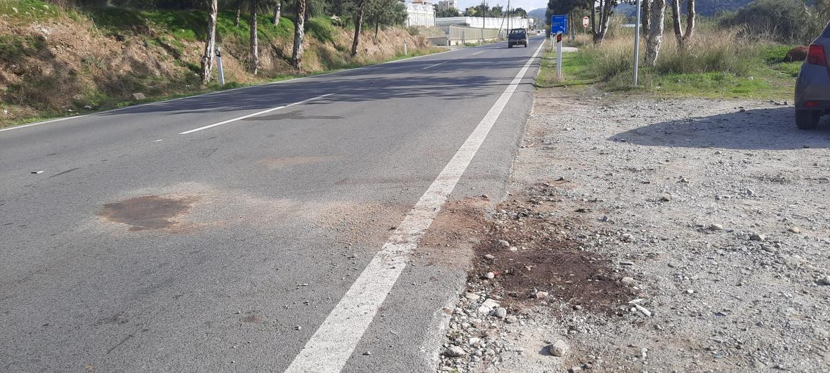 Μεσαρά: Φρικτή σύγκρουση Ι.Χ με άλογο!