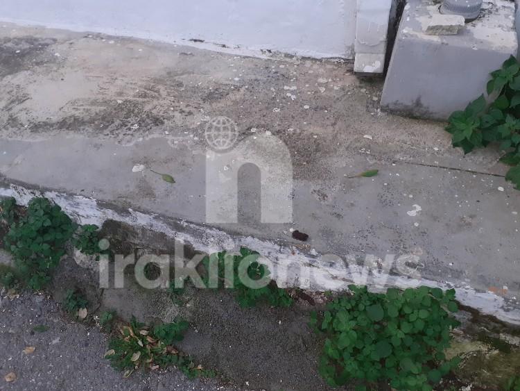 Ηράκλειο: Αγανακτισμένοι οι κάτοικοι του Πόρου με τις ακαθαρσίες ζώων