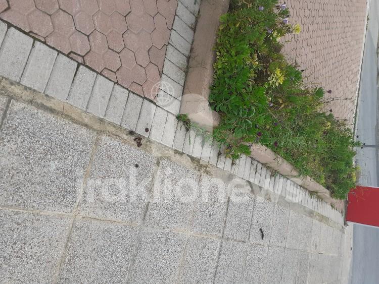 Ηράκλειο: Αγανακτισμένοι οι κάτοικοι του Πόρου με τις ακαθαρσίες ζώων 5 Ηράκλειο: Αγανακτισμένοι οι κάτοικοι του Πόρου με τις ακαθαρσίες ζώων