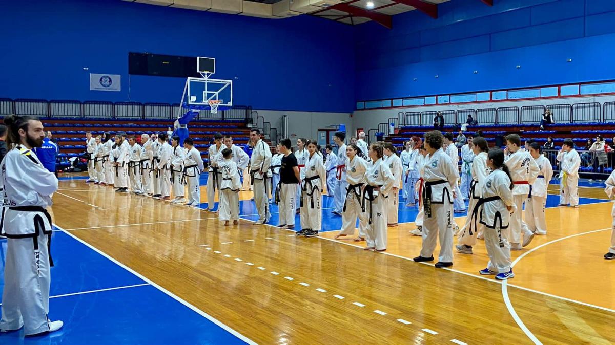 Ο Λ. Αυγενάκης στο σεμινάριο Τάεκβοντο των Σωματείων Μαχητικών Τεχνών της Κρήτης (Pics)
