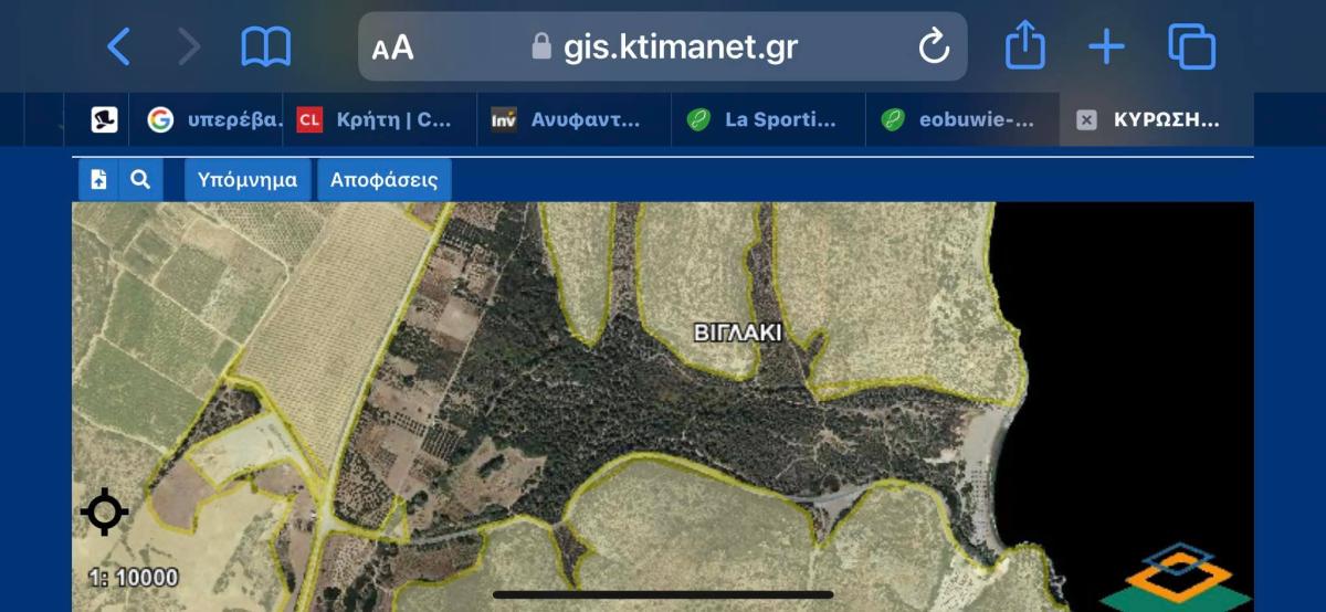 Φρένο στην υπερεκμετάλλευση του φοινικοδάσους Βάι - Κυρωση δασικών χαρτών για την προστασία του