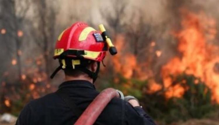 Κρήτη: Συναγερμός στην Πυροσβεστική για πυρκαγιά - Ισχυροί άνεμοι στο σημείο (pics)