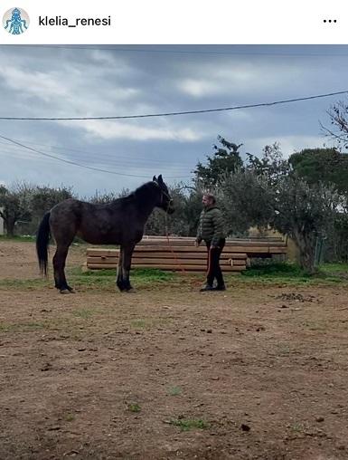 Γνωστή ηθοποιός στηρίζει δημόσια τον προφυλακισμένο Γιώργο Στρατάκη
