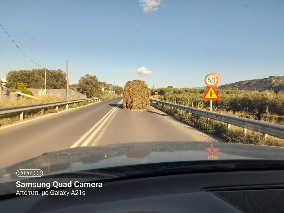 Ηράκλειο: Πόσα κλαδιά χωράνε σε καρότσα αγροτικού; (pics)