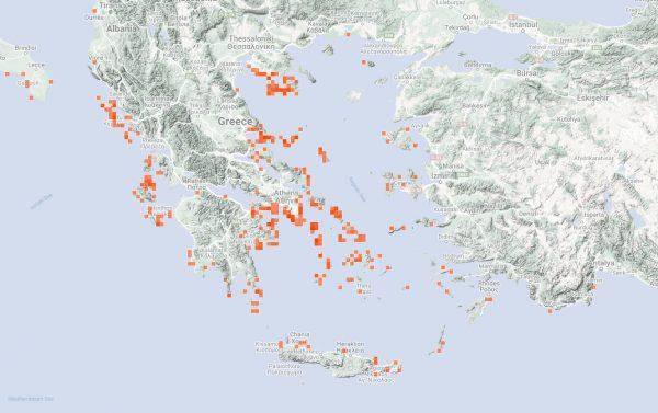 Σε ποιες παραλίες εντοπίζονται ήδη οι μωβ μέδουσες - Έχουν εμφανιστεί και στην Κρήτη (pic+vid)